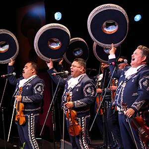 Un Día De Los Muertos con Mariachi Los Camperos